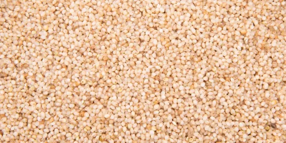 Benefits of Little Millet
