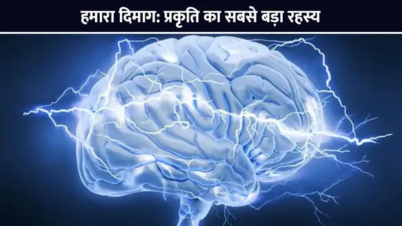 हमारा दिमाग: प्रकृति का सबसे बड़ा रहस्य