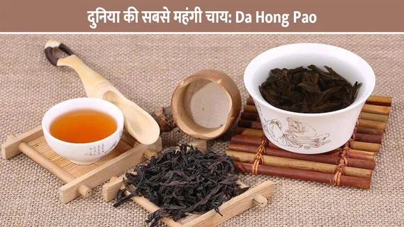 दुनिया की सबसे महंगी चाय: Da Hong Pao