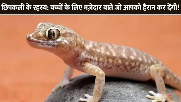 छिपकली के रहस्य: बच्चों के लिए मज़ेदार बातें जो आपको हैरान कर देंगी!