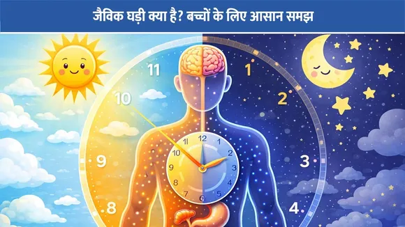 जैविक घड़ी क्या है? बच्चों के लिए आसान समझ