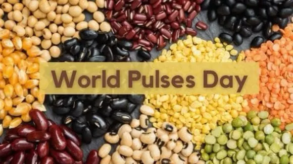 World Pulses Day Special: Celebrating the Nutritional Powerhouse of Indian Diets