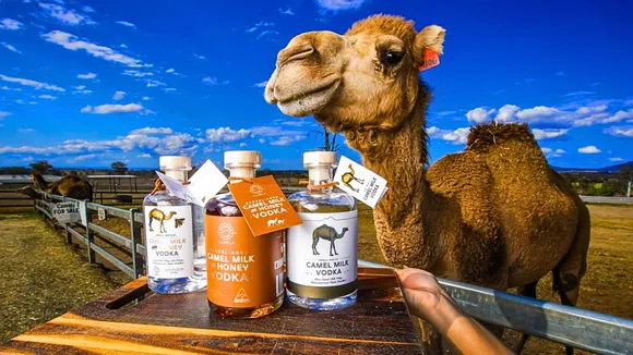 World's first Camel milk vodka