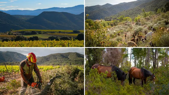 Familia Torres strengthens forest stewardship