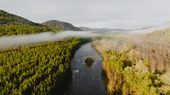 Diageo India reports strong FY25 ESG progress