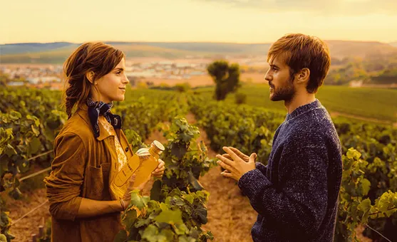 Gin captures the essence of Chablis's terroir
