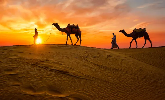 Tourism gets a fillip in Rajasthan