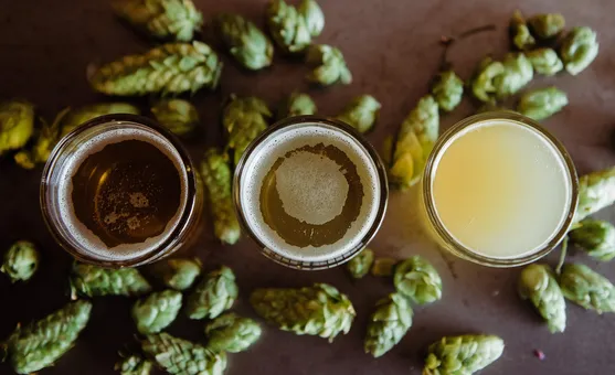 Beer unfit for human consumption seized in Karnataka