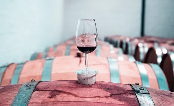 France to invest on destroying surplus wine