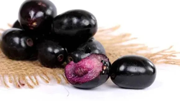 Benefits Of Eating Jamun: जामुन से आपकी हेल्थ को क्या क्या फायदे हो सकते हैं?