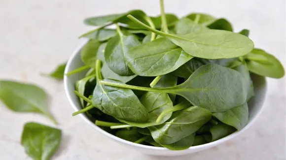 Iron Deficiency: आयरन की कमी के बारे में ख़ास बातें