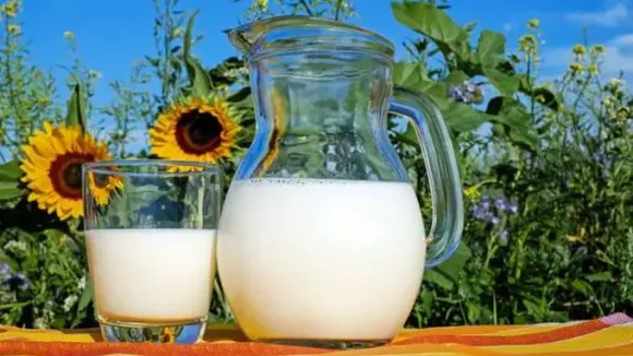 Raw Milk Or Boiled Milk? कौन सा विकल्प है सेहत के लिए बेहतर