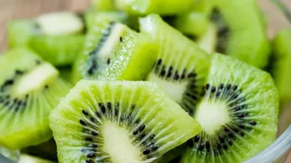 Kiwi Benefits For Pregnancy: प्रेगनेंसी में कीवी खाने के हैं यह फायदे