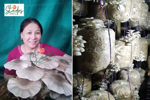 Rajkumari Binita Devi grows oyster mushrooms in Moirangkampu Sajeb village,  Manipur’