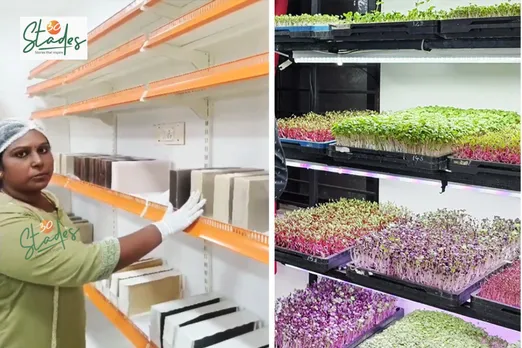 Microgreens, Mirjan and Theni