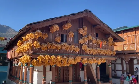 sainji-corn-village-uttarakhand-drying-30stades