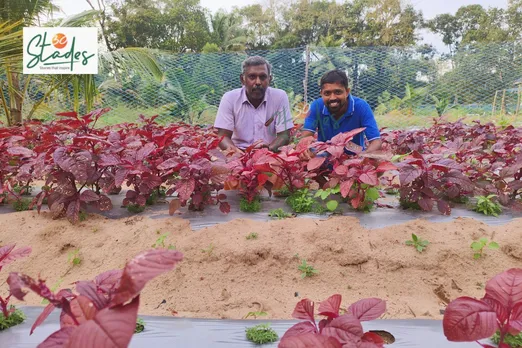 why-organic-farming-profitable-rajesh-renjith-alleppy-30stades