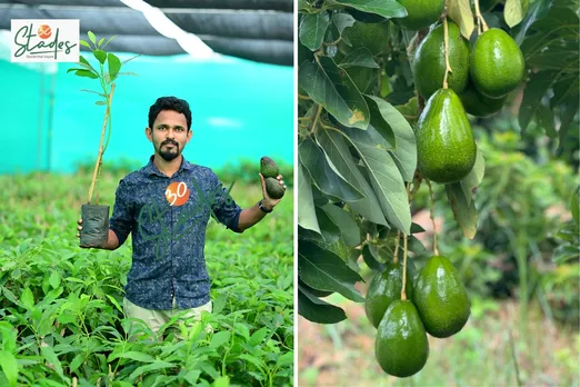 harshith-avocado-mysuru-lead-30stades