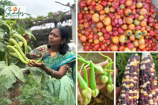 swaroopa-seed-saver-telangana-lead-30stades