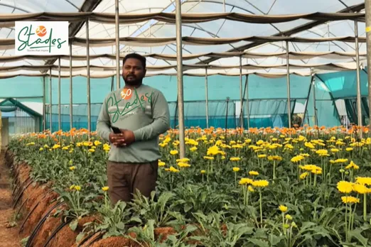 ankit-lande-gerbera-farming-nagpur-lead-30stades