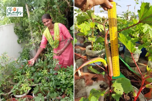 rooftop-gardening-small-space-final-lead-30stades