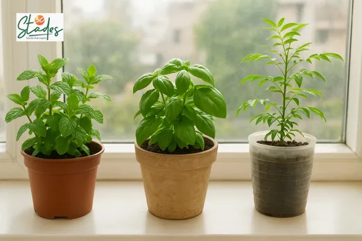 how-to-grow-herbst-30stades