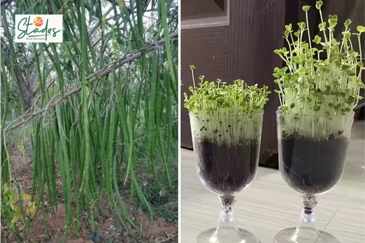 Newsletter-Nov-16-2025