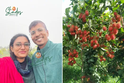 newsletter-dec28-2025-30stades