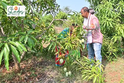 kailash-barren-orchard-odisha-lead-30stades