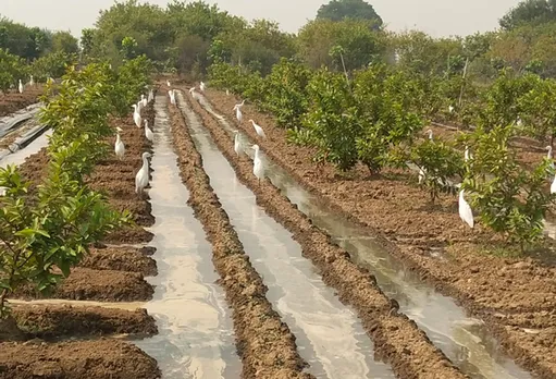 Grass entrepreneur and psychologist-farmer