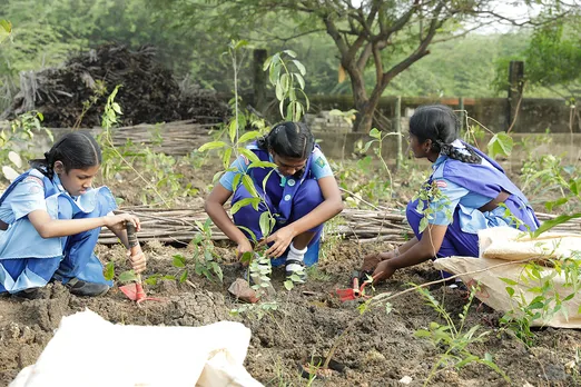 Collective collaboration can increase India forest cover