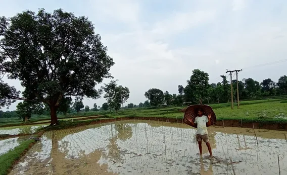 Farmer Rajkumar Choudhry at his organic paddy farm in Lotmara village in Balaghat district, Madhya Pradesh