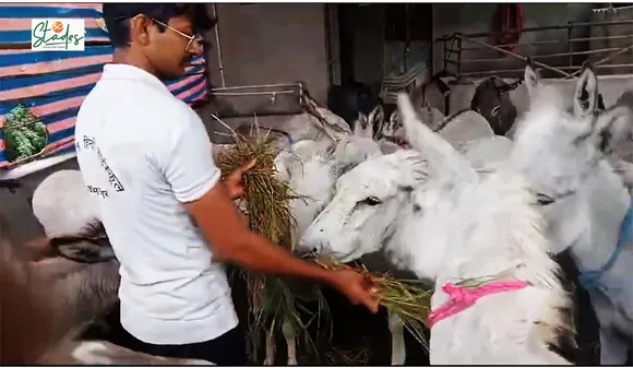 Dhiren Solanki at his TDS Donkey Farm in Manund village, Patan, Gujarat
