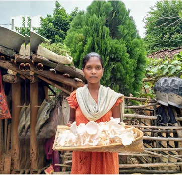 How mushroom farming is increasing incomes for women in Jharkhand