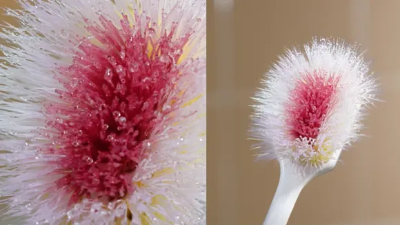 Colgate flower ad