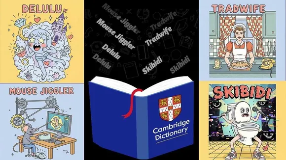 Cambridge Dictionary adds internet slang but language has always been delulu for culture