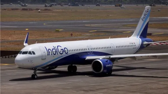indigo