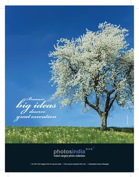 Big Idea- Great Execution