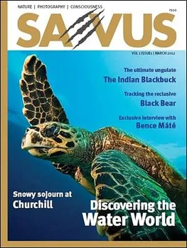Samsonite and Saevus Wildlife launch premium wildlife magazine