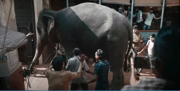 Fogg’s new TVC seeks to address the 'elephant' in the room 