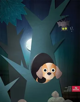 Day return flights - Dog