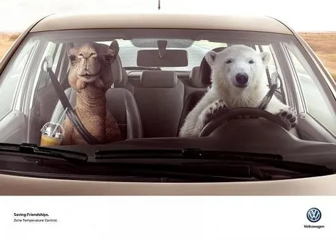 Bear & Camel