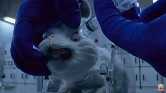 ‘Save Ralph’, an animated short film, drops bombs on animal testing for cosmetic products, finds support from Unilever
