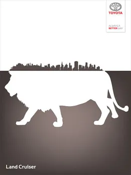 Wild city, 3