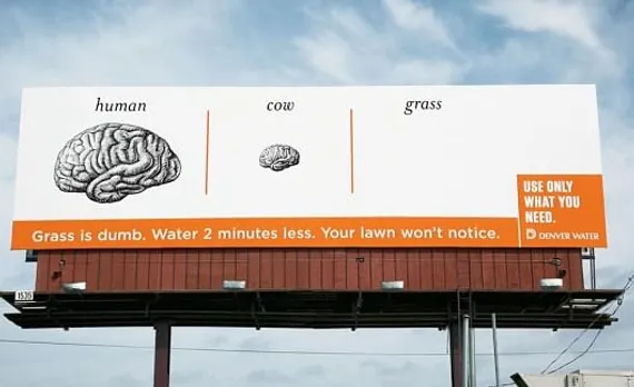 Brain