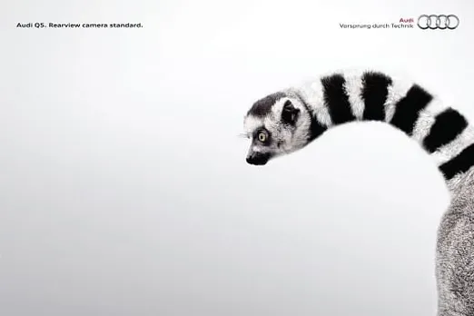 Lemur
