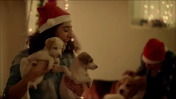 afaqs! Creative Showcase: Snapdeal makes a plea for Puppy adoption this Christmas