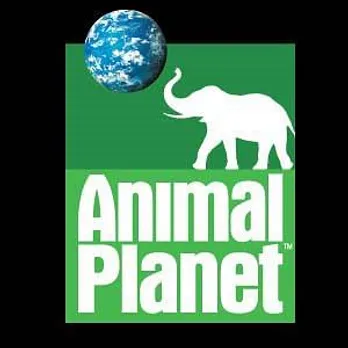 Animal Planet's theme-based time band strategy pays off