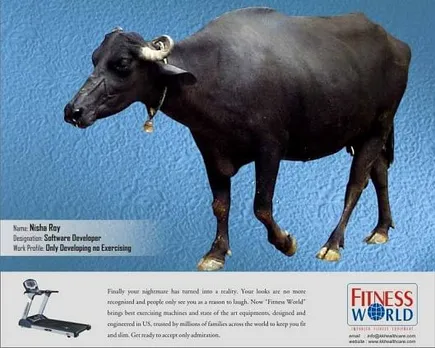 Buffalo