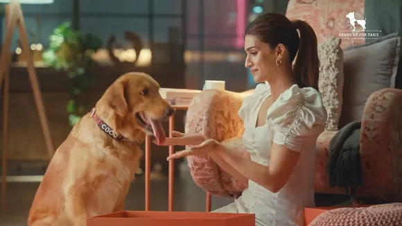 Everything Your Pet Needs